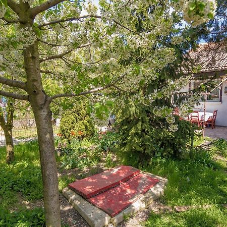 Apartament Old House Vama Veche Zewnętrze zdjęcie