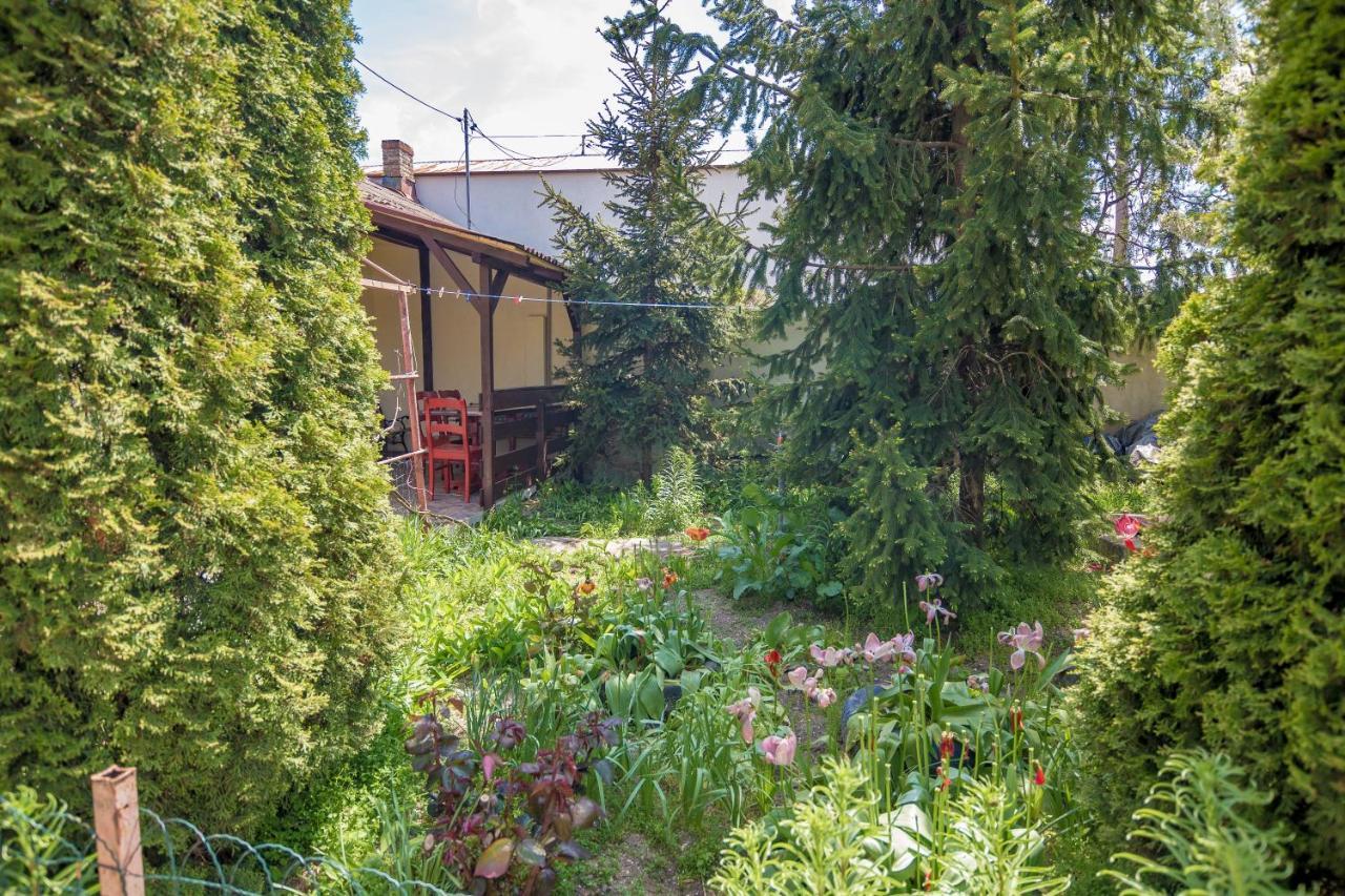 Apartament Old House Vama Veche Zewnętrze zdjęcie