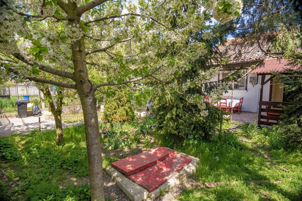 Apartament Old House Vama Veche Zewnętrze zdjęcie