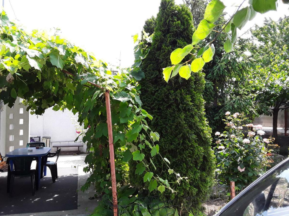 Apartament Old House Vama Veche Zewnętrze zdjęcie